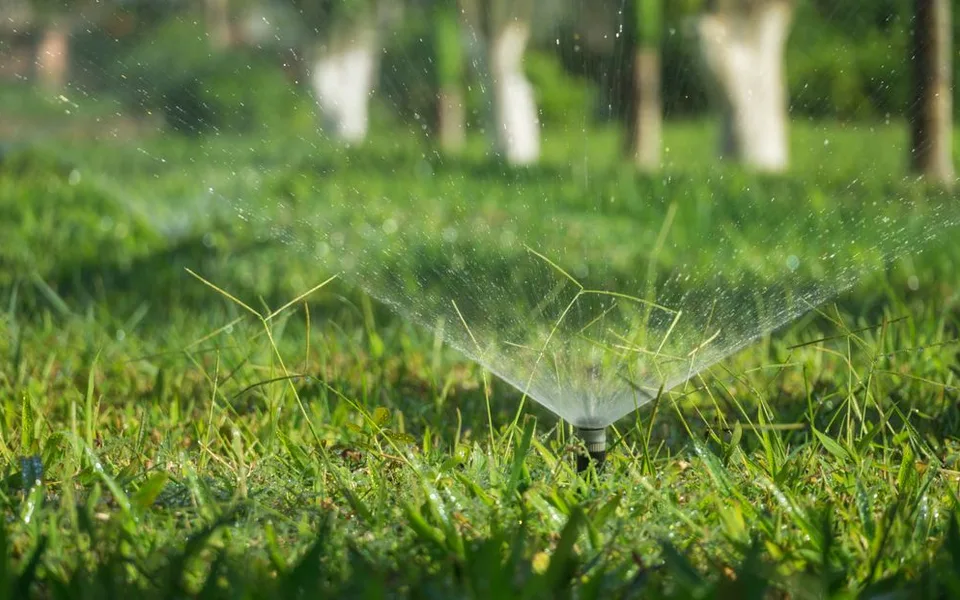 Stock photo of a lawn sprinkler watering grass.