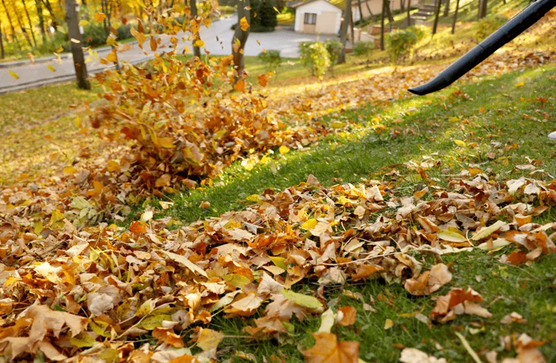 Leaf Cleanups service by B&B Lawn & Landscape in Kansas City metro