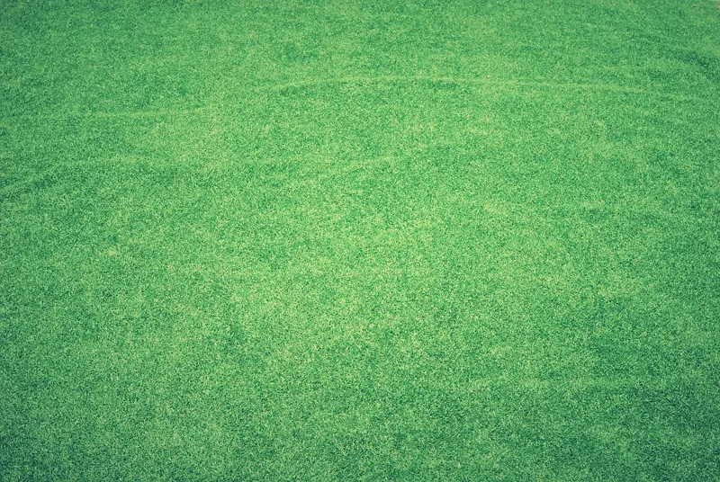 Overseeding & Sod Install service by B&B Lawn & Landscape in Kansas City metro