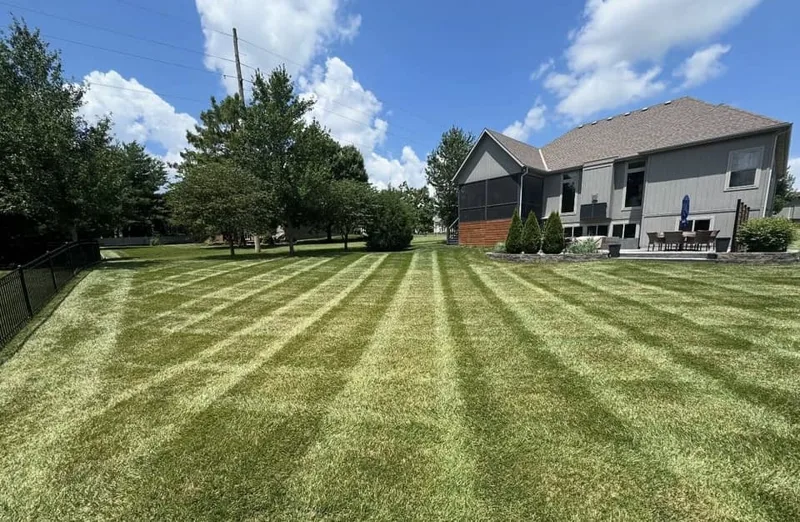 Freshly mowed residential lawn with clean mowing stripes by B&B Lawn & Landscape in Blue Springs Missouri