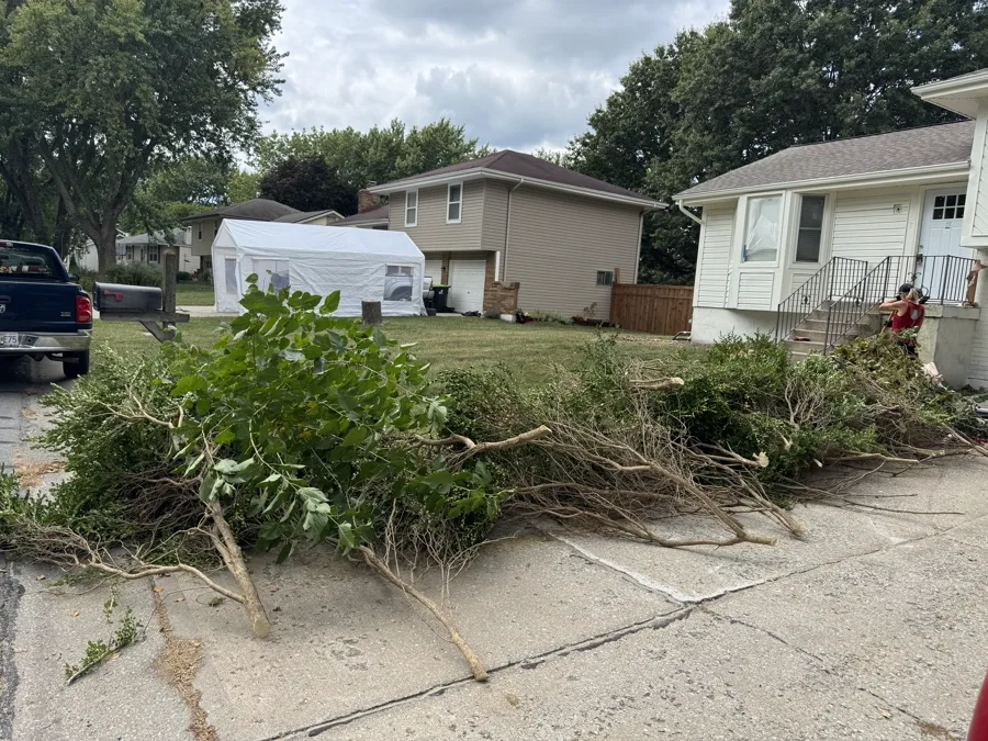 Tree and bush removal job completed by B&B Lawn & Landscape in Independence Missouri
