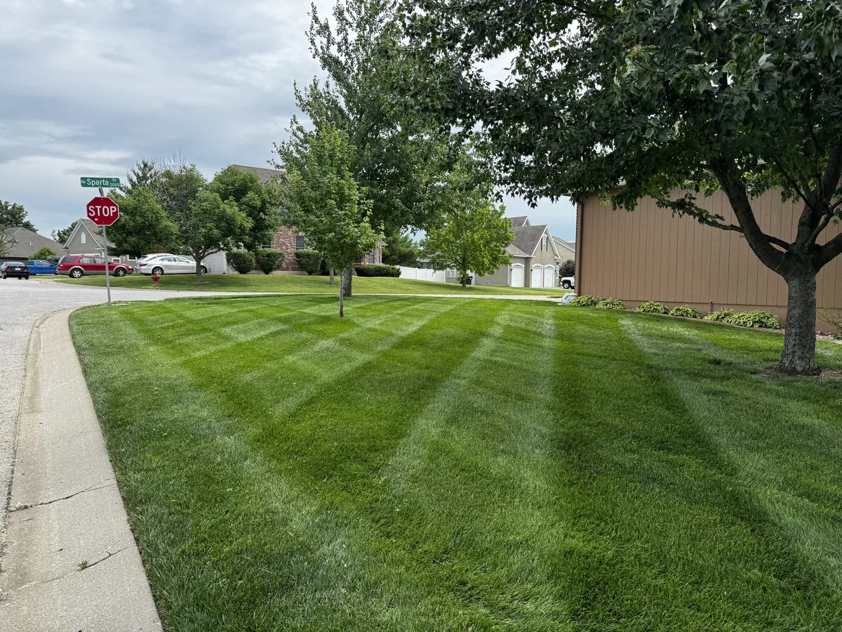 Freshly mowed corner front lawn with clean mowing stripes in a Kansas City metro neighborhood by B&B Lawn & Landscape